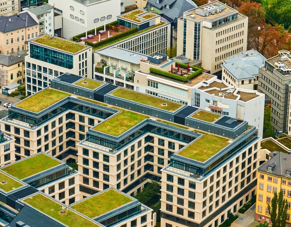 Aerial view of buildings with eco-friendly grass rooftops
